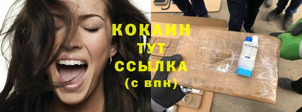 хмурый Аркадак