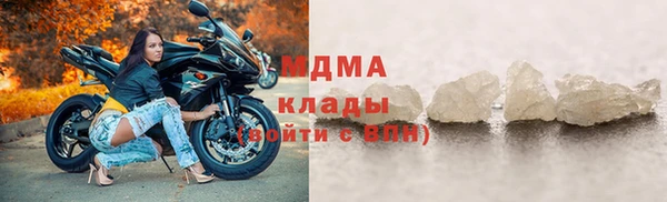 хмурый Аркадак