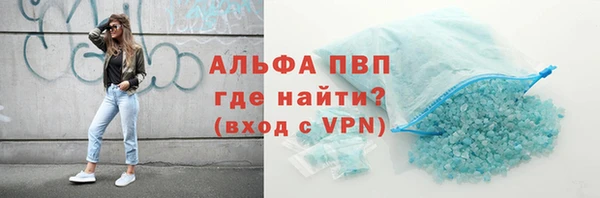 индика Семёнов