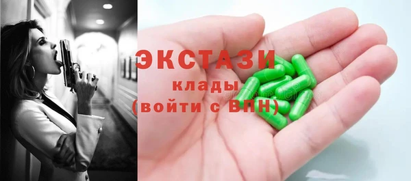хмурый Аркадак