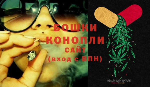 индика Семёнов